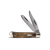 Burlwood